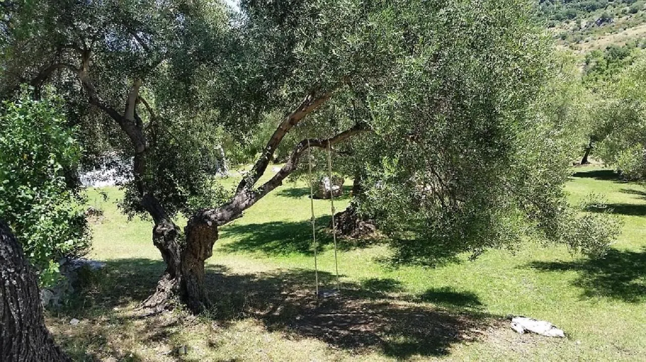 Eva Recommends Hacienda Parque Nacional Grazalema Villa 0*,  Spain